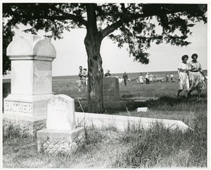 Image description is not available for PHO-4-W689-394